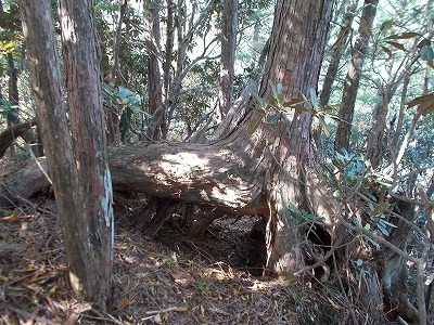 f0308898_21352167.jpg