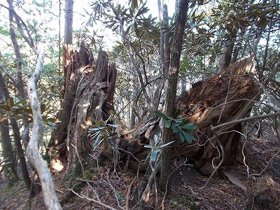 f0308898_21353592.jpg