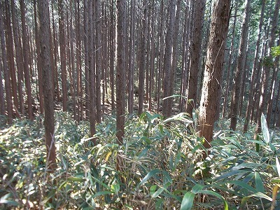 f0308898_21362107.jpg