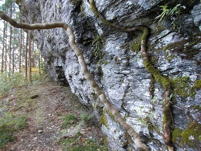 f0308898_21395446.jpg