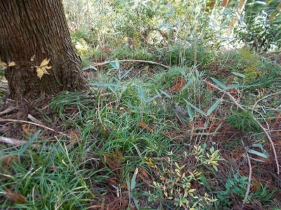 f0308898_21401597.jpg