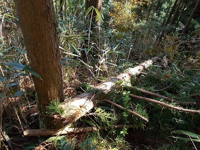f0308898_21402695.jpg
