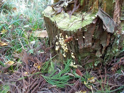 f0308898_21414334.jpg