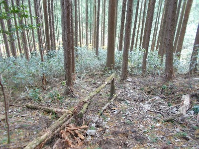 f0308898_21431874.jpg