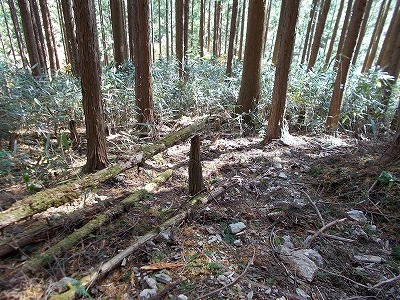 f0308898_21433082.jpg