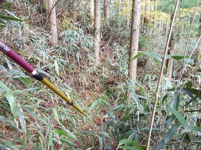 f0308898_21445913.jpg