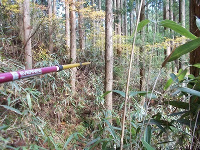 f0308898_21454297.jpg