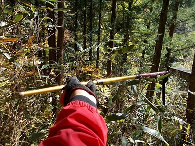 f0308898_21461882.jpg
