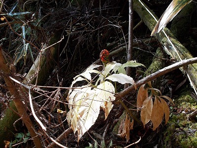 f0308898_21462939.jpg