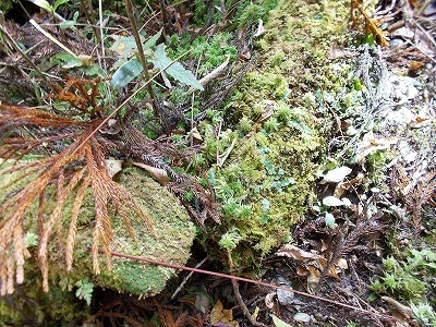 f0308898_21463702.jpg