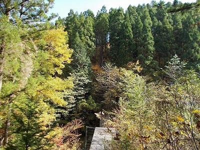 f0308898_21482824.jpg