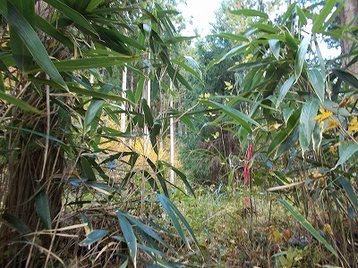 f0308898_21491532.jpg