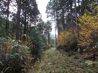 f0308898_21493739.jpg