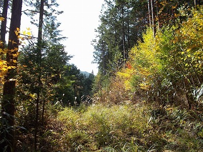 f0308898_21494850.jpg