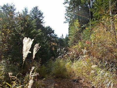 f0308898_21505250.jpg