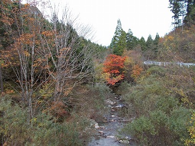 f0308898_21521106.jpg