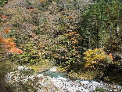 f0308898_21543343.jpg