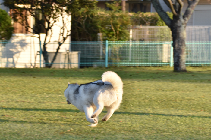 c0049299_21501131.jpg