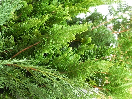 c0152002_19004929.jpg