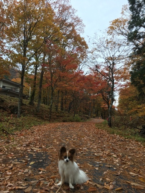 f0034602_20315969.jpeg