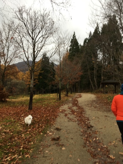 f0034602_20340159.jpeg