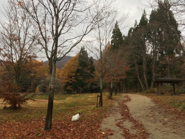 f0034602_20343879.jpeg