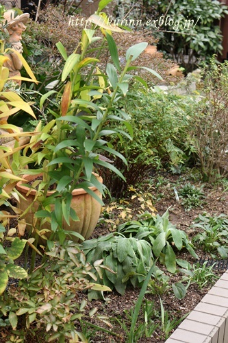 a0123003_17504472.jpg