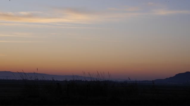 f0144003_13470868.jpg