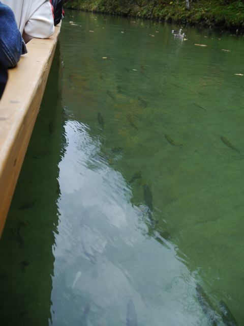 f0144003_22062221.jpg
