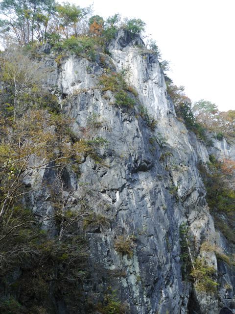 f0144003_22074482.jpg