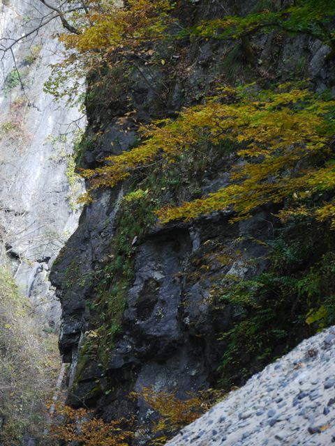 f0144003_22075679.jpg