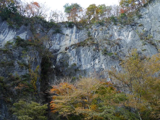 f0144003_22081296.jpg