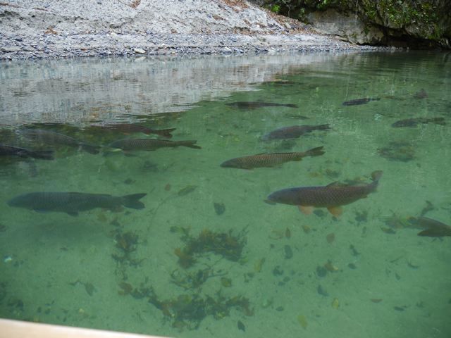 f0144003_22082551.jpg
