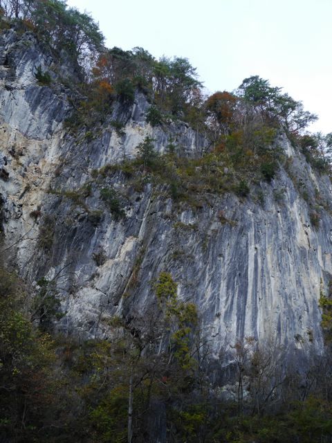 f0144003_22085485.jpg