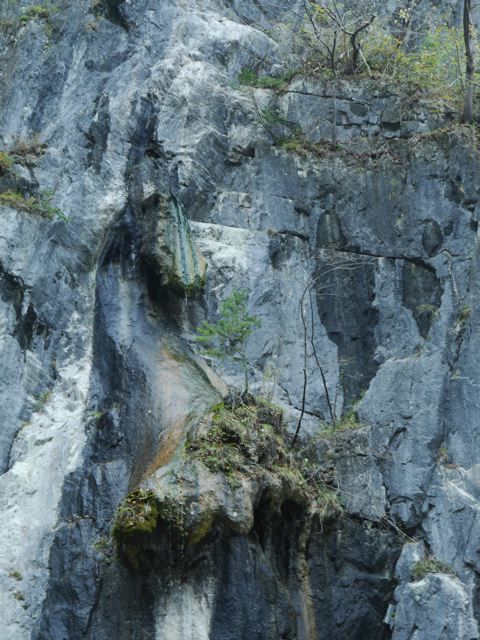 f0144003_22092203.jpg