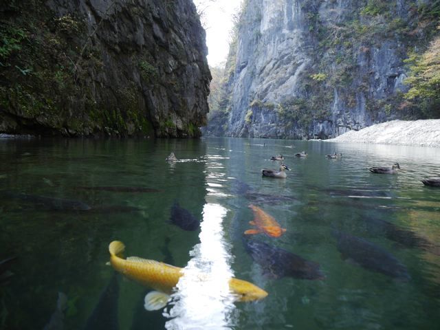 f0144003_22094292.jpg