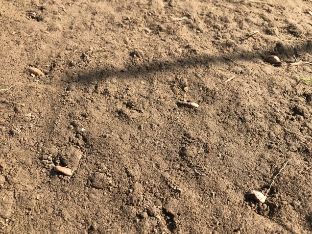 c0369304_23242047.jpg