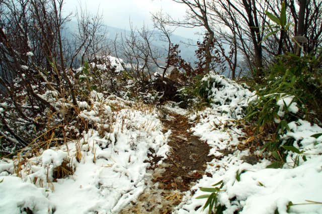 2017年11月5日(日) 銭函天狗山(標高536.7m)_a0345007_17565797.jpg
