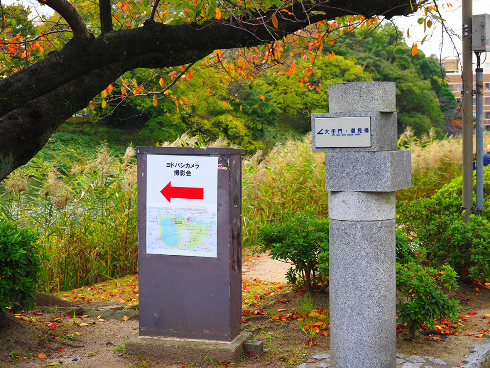 おめでとう福岡！　おめでとうホークス！　11月4日（土）　6215_b0069507_06022930.jpg