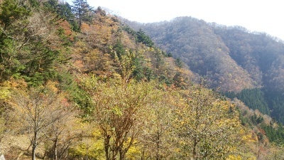 紅葉in剣山_c0030607_17532815.jpg