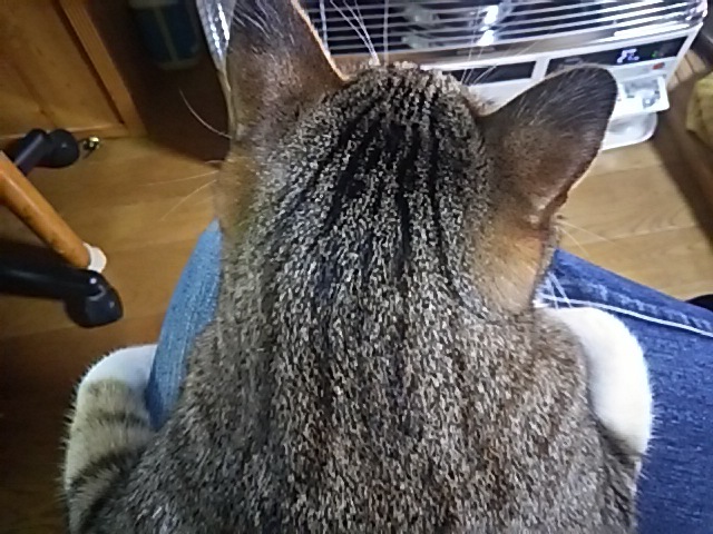 今日は寒い~バック色々_f0316507_09365471.jpg