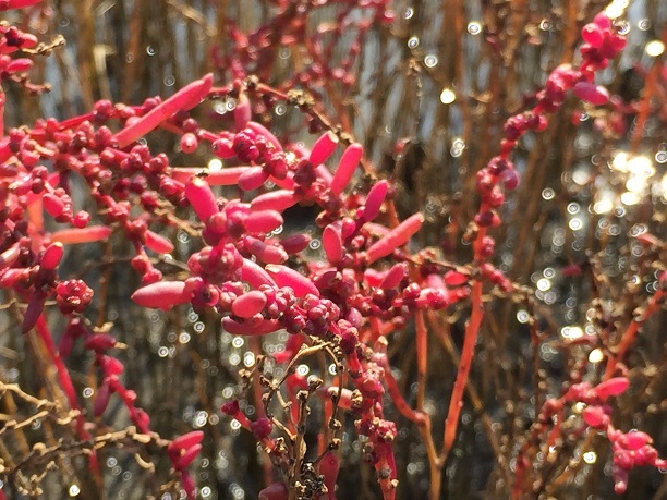 f0364707_21203706.jpg