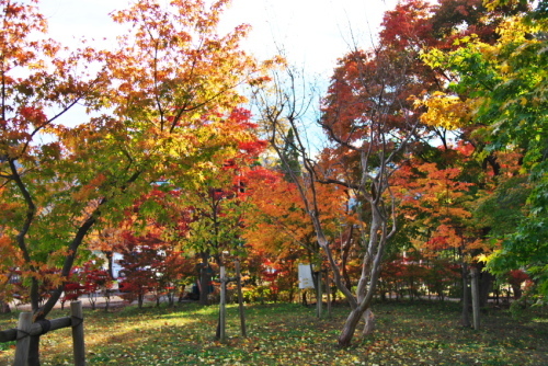 a0263109_18491481.jpg