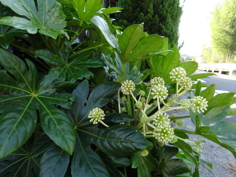 f0231709_22273364.jpg