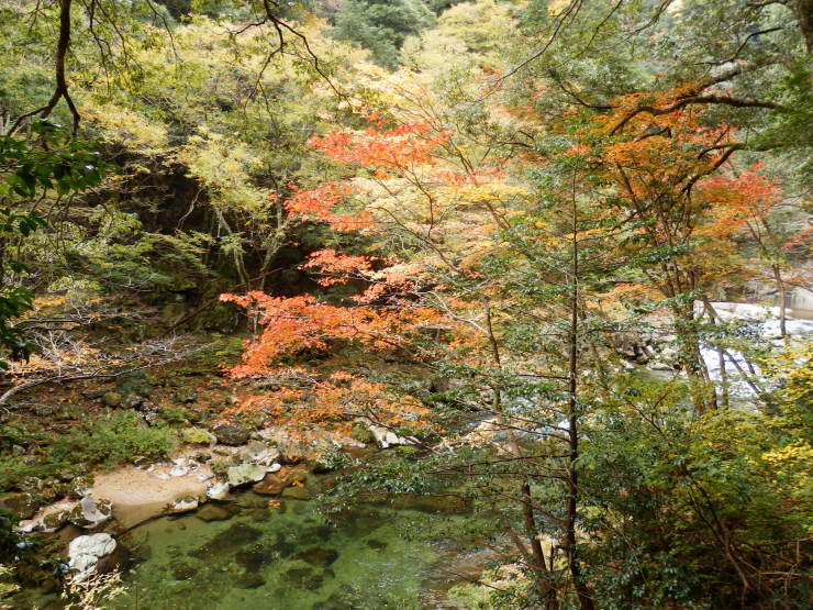 f0219710_19280724.jpg