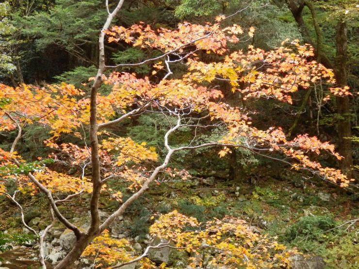 f0219710_19283963.jpg