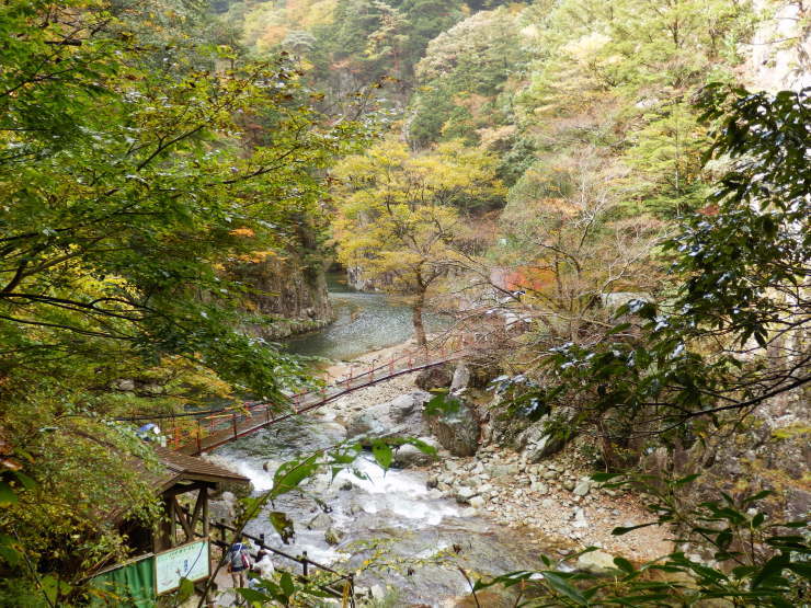 f0219710_19452583.jpg