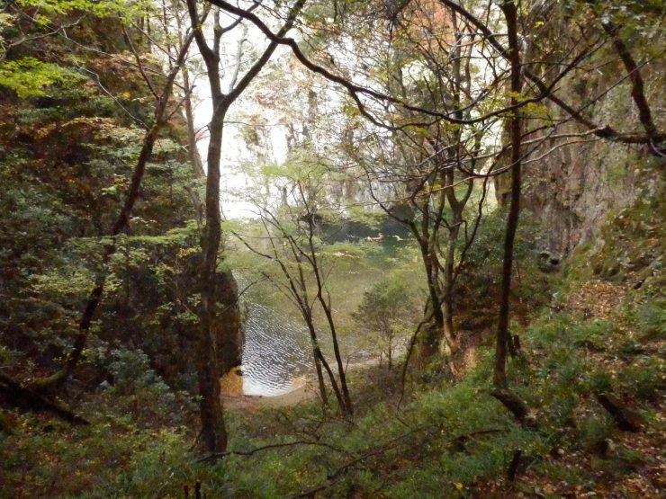 f0219710_19470197.jpg