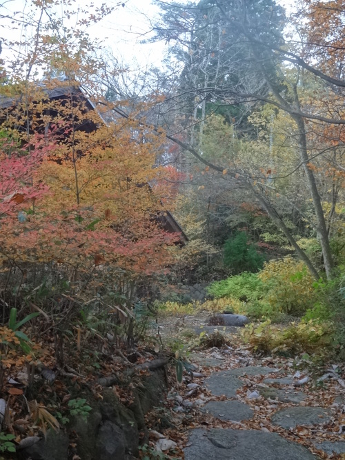 c0279611_21503037.jpg