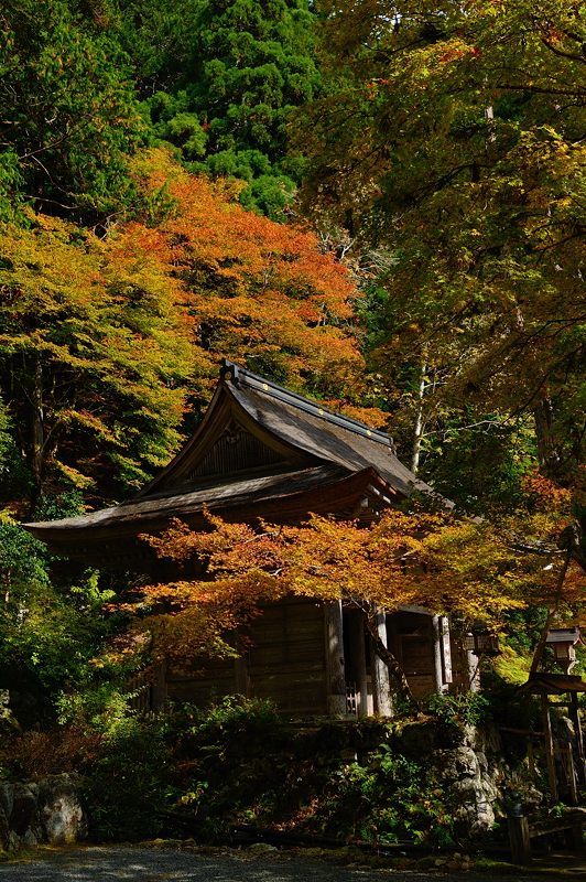 2017京都の紅葉･花背　峰定寺_f0032011_18041451.jpg